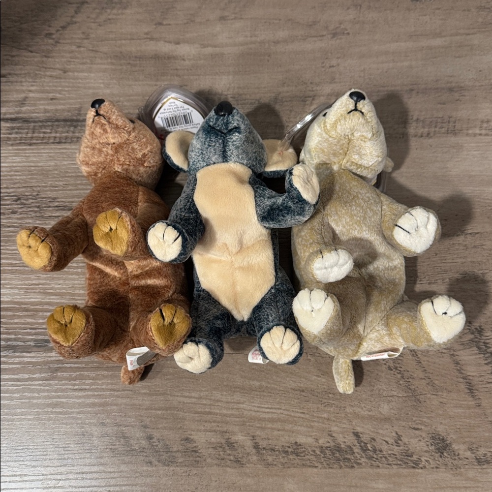 Ty Beanie Babies Trio Realistic Bears - Picture 4 of 13